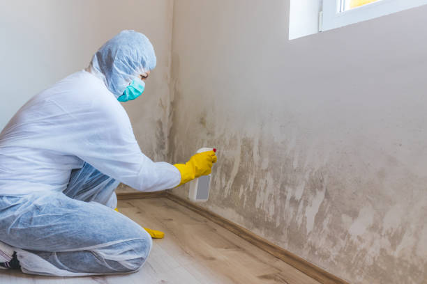 Commercial Mold Remediation assessment for commercial property in Cardinal